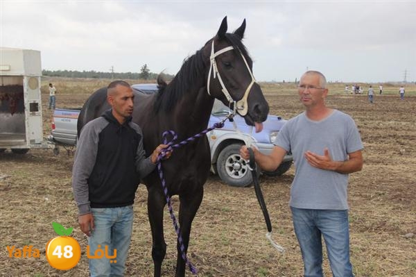 khoyoul lud 0610 (49).JPG